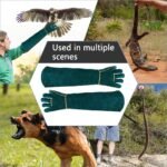 Animal Handling Gloves Bite Proof with 40inch Collapsible Snake Hook,Suitable for Falcon Dog Cat Bird Reptile Snake - Image 4