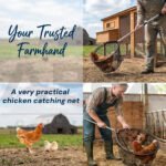 Animal Catcher Net, Chicken Catching Net for Poultry Supplies, Extendable 64" Made of Stainless Steel Fishing net Catcher for Catching Small Duck, Geese, Bird, Bat, Chickens, cat, Poultry - Image 7