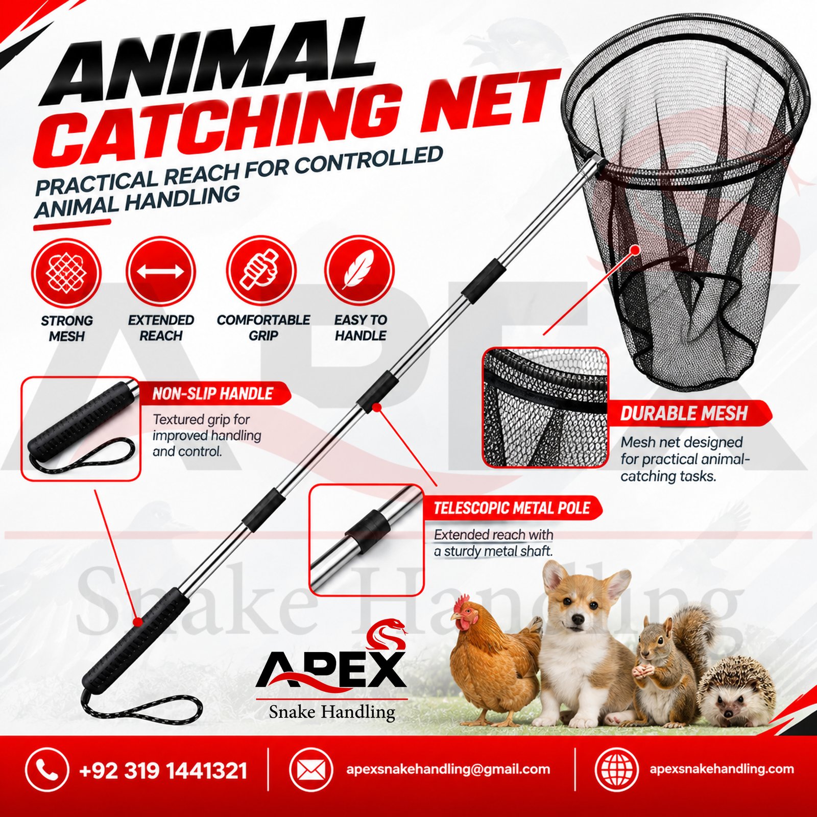 Untitled-1 Animal Catcher Net, Chicken Catching Net for Poultry Supplies, Extendable 64" Made of Stainless Steel Fishing net Catcher for Catching Small Duck, Geese, Bird, Bat, Chickens, cat, Poultry - Image 1