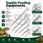 Reptile Feeding Equipments